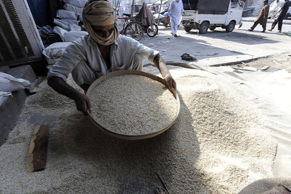 Pakistan’s Rice Exports