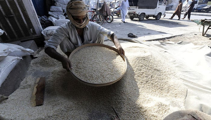 Pakistan’s Rice Exports