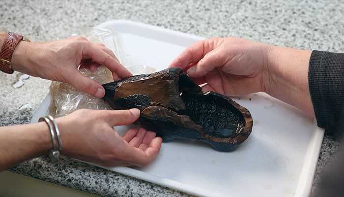 500-year-old wooden shoe discovery