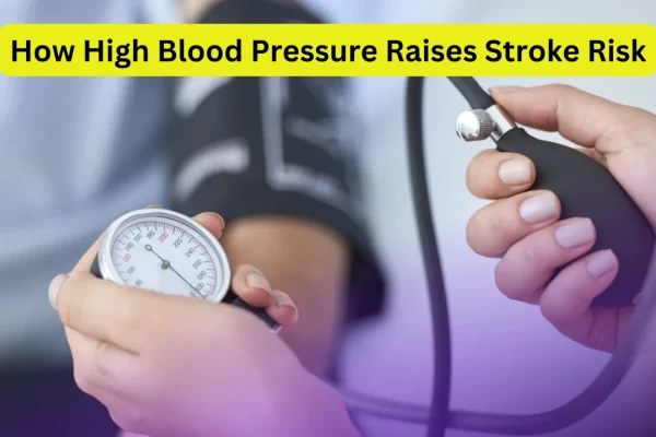 How High Blood Pressure Raises Stroke Risk