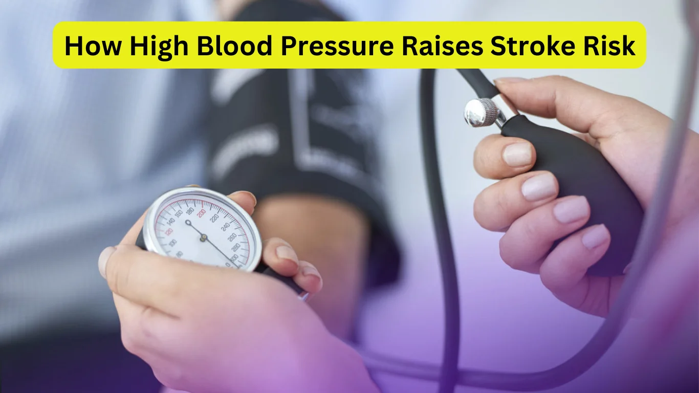 How High Blood Pressure Raises Stroke Risk