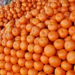 Health Benefits of Oranges in Winter