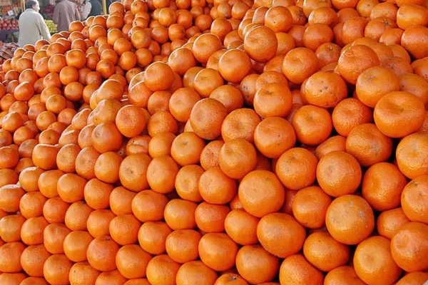 Health Benefits of Oranges in Winter