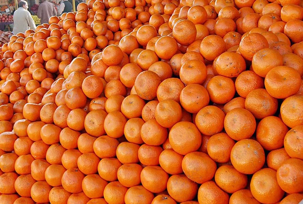 Health Benefits of Oranges in Winter