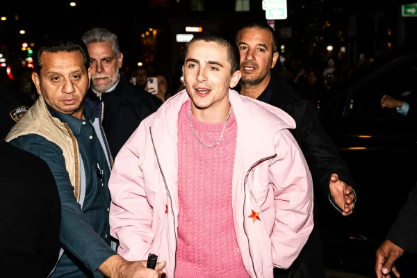 Timothée Chalamet Pop-Up