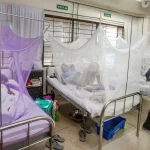 Dengue cases in Khyber Pakhtunkhwa