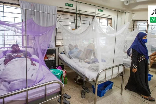 Dengue cases in Khyber Pakhtunkhwa