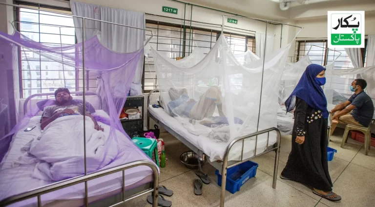 Dengue Cases Rise Sharply Across Khyber Pakhtunkhwa