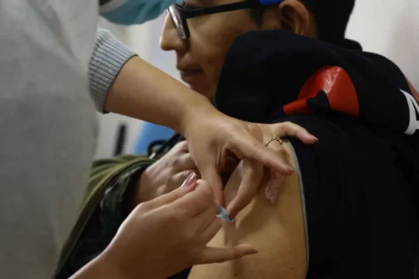 yellow fever and dengue surge in South America