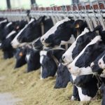 Scientists discussing CPEC 2.0 agriculture projects in a lab.