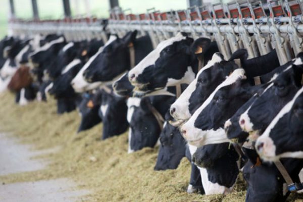 Scientists discussing CPEC 2.0 agriculture projects in a lab.