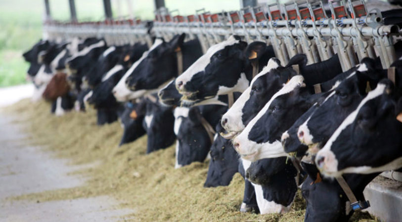 Scientists discussing CPEC 2.0 agriculture projects in a lab.